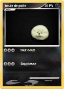 boule de poils