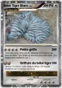 Bébé Tigre