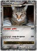 minouchat minouchat
