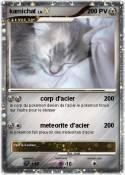 kamichat kamichat