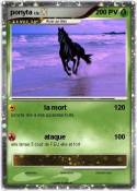 ponyta ponyta