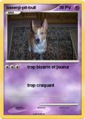basenji-pit-bull basenji-pit-bull