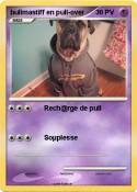 bullmastiff en