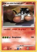chat en mini