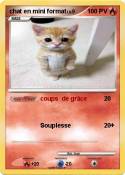chat en mini