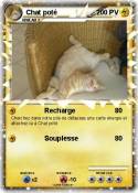 Chat poté