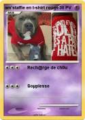 am'staffie en t-shirt rouge am'staffie en