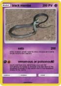 black mamba