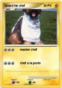 briard fat chef