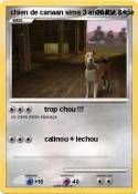 chien de canaan sims 3 animaux & chien de canaan