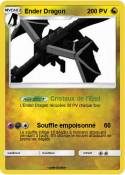 Ender Dragon Ender Dragon