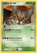 chatine niv 100