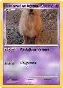 chien avalé un