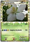 mega plante