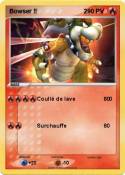 Bowser !! 2