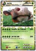 vache