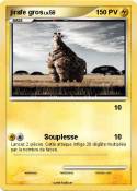 jirafe gros