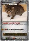 chaton minion