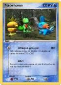 Force hoenn