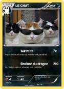 LE CHAT...