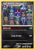 esprit guerrier