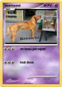 bearhound