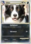 Chien Chien