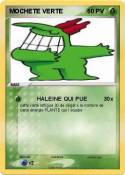 MOCHETE VERTE