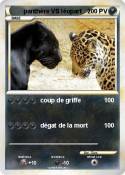 panthère VS