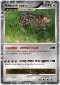 Guépard royal