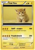 Chat Filou