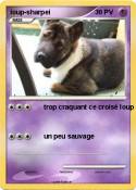 loup-sharpei loup-sharpei