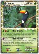Toucan