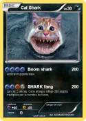 Cat Shark