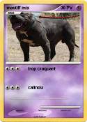mastiff mix