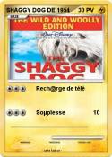 SHAGGY DOG DE