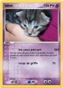 kitten