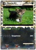 Pikachu EX Pikachu EX