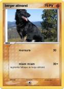 berger allmand 