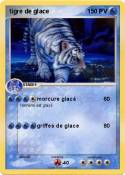 tigre de glace