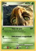 Chat Chat