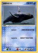 wailord ex 