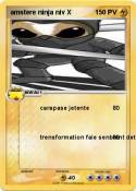 amstere ninja