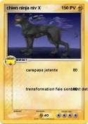 chien ninja niv