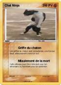 Chat Ninja