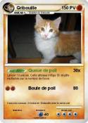 Gribouille Gribouille