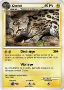 Ocelot