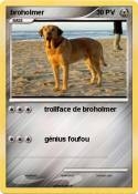 broholmer broholmer