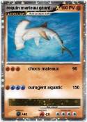 requin marteau