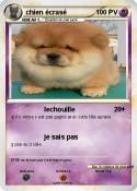chien écrasé